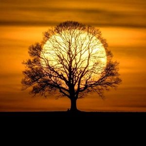 Meet your Posher, Bobbi